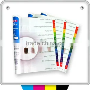 File Folder With Color Index Tab Dividers thumbnail-1