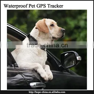 Waterproof Pet GPS Tracker Tracking System Phone Number Mini Gps Pet Tracker Mini Tracker for Pet thumbnail-1
