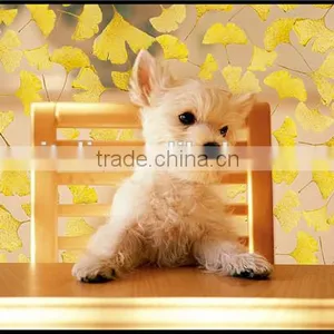 Interior Decoration Movable Sound Proof Type Price of Partition Wall thumbnail-1