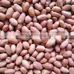 Peanut Kernels thumbnail-1