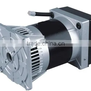 Gsa Series Italian Type Brushless 2 Pole Single Phase Alternator thumbnail-1