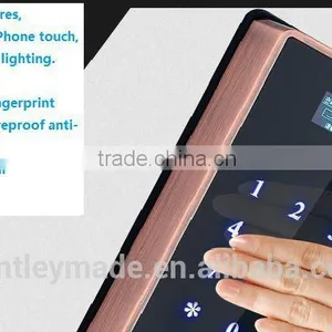 Intelligent Fingerprint Lock With Oled Display thumbnail-1