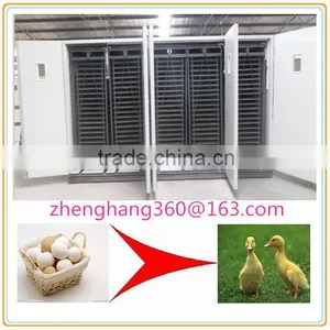 Incubateur Pour Les Oeufs de Caille/ Incubateur Capacity 33792 in Algeria thumbnail-1