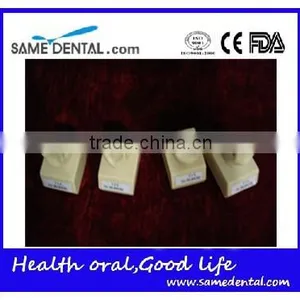 Hot Sale 4 Times Butment Cavity Preparation Model Gingival School Teaching Demonstration Models thumbnail-4