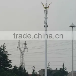 30M Steel Landscape Monopole Communication Tower thumbnail-1