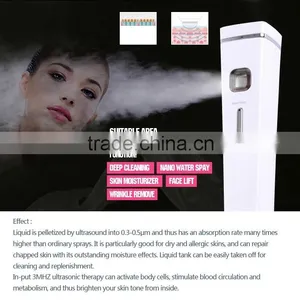 Mini Beauty Instrument Portable Nano Mist Spray With Massager Facial Steamer thumbnail-2