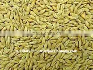 Australian Organic Barley Bran thumbnail-1
