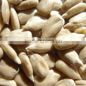 Edilble Sunflower Kernel New Season thumbnail-1