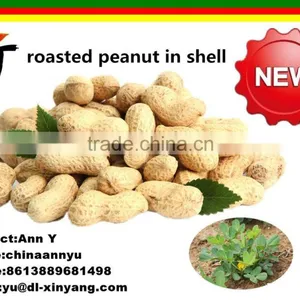 Wholesale Good Quality Peanuts Importers thumbnail-5