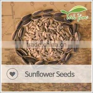 2016 Hot Sale High Quality Sunflower Seed thumbnail-2