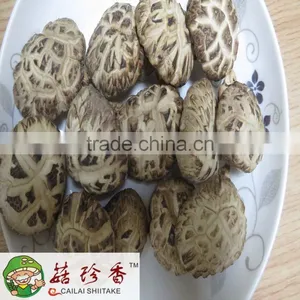 Dried White Flower Shiitake Mushroom in Henan Local Planting thumbnail-1