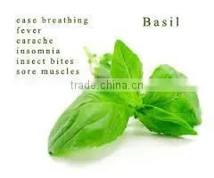 High Quality Basil Oil thumbnail-2