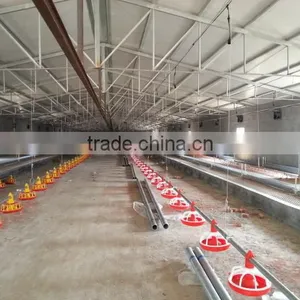 Parent Chicken Automatic Feeders for Female and Male thumbnail-3