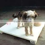 Pet Board by Rotational Mold thumbnail-1