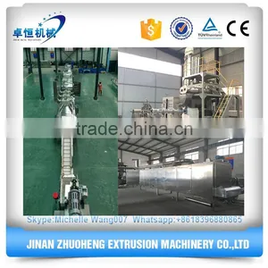 Corn Flakes Processing Making Production Manufacturing Line thumbnail-4