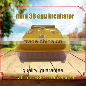 144 Quail Egg Mini Hatchery Price in UK WQ-36 thumbnail-1
