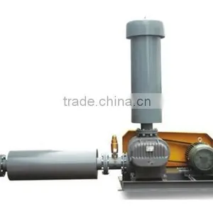 Roots Biogas Pump thumbnail-1