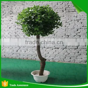 Artificial Green Banyan Ficus Trees Bonsai Plant thumbnail-1