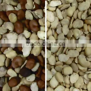 2016 High Accuracy Professional Grain Ccoffee Bean Sorting Machine For Coffee,Cocoa,Bean,Wheat thumbnail-4