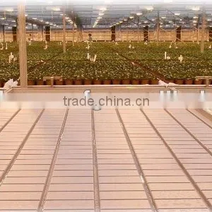 Movable Bench System in Greenhouse thumbnail-1