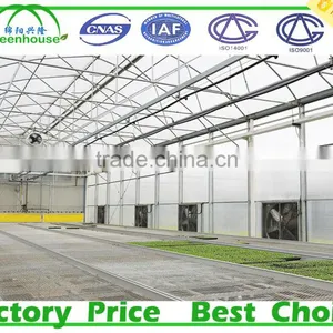 Multi Span Tunnel PE Plastic Film Hydroponic Systems Agricultural Commercial Greenhouse thumbnail-1