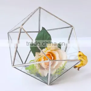 Home Design Clear Glass Terrarium Succulent Plants Greenhouses thumbnail-4