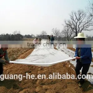 100%biodegradable Plastic Film,soil Mulching Vegetable Garden thumbnail-1
