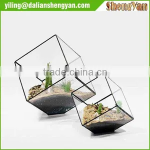 The Cube Shape Planter,geometric Glass Terrarium thumbnail-6