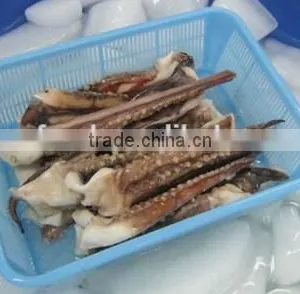 Squid Head With Frozen thumbnail-1
