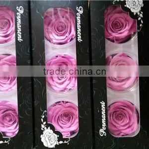 Eternal Rose Big Rose Head A Grade Preserved Rose 6-7 cm for Sale thumbnail-1