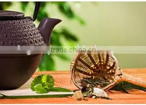 Premium Green Tea for European Market at Low Price thumbnail-2