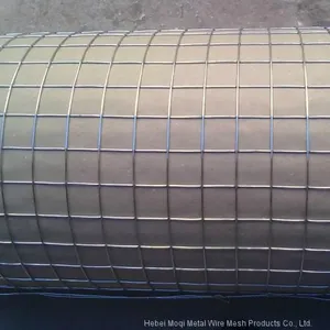 Cheap 1x1 Galvanized Welded Wire Mesh for Pets Bird Quail Rabbit Cage thumbnail-2