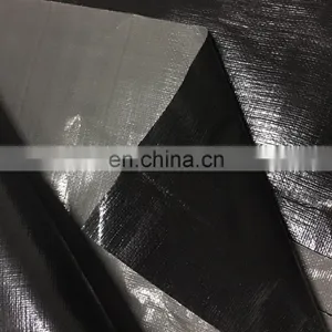 HDPE Pond Liners, Used for Fish and Shrimp Ponds, Durable PE Tarp for Pond Liner thumbnail-2