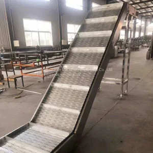 Chain Conveyor Manufacturer, Small Chain Conveyor Price thumbnail-1