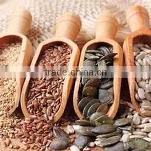 Black Sunflower Seeds for Oil thumbnail-1
