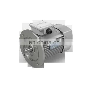 YE2 Series Industrial Electric Motor High Speed Three Phase Induction Motor for Machinery Asynchronous Motor thumbnail-6