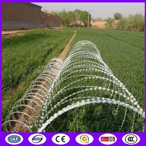 600mm 10 Mtrs Length Galvanized Steel Razor Barbed Wire Mesh Crossed Loop thumbnail-1