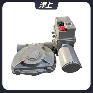 B+RS250/K28Z Angle Stroke Actuator thumbnail-4