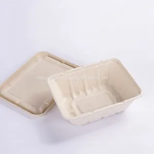Large Eco Friendly Biodegradable Compostable Bagasse Sugar Cane Catering Tray thumbnail-1