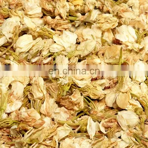 Original Vietnam Dried Jasmine Flower/Healthy Jasmine From Jasminum for Blooming Flower Tea Made in Vietnam thumbnail-3