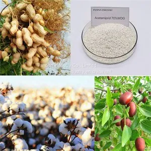 High Quality Agricultural Pesticides for Tomatos Acetamiprid 70wdg Pest Control Product thumbnail-2