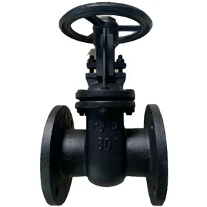 Russian Standard Cast Steel WCB Gate Valve Rising Stem Manual Hard Seal Flange GOST Gate Valve Dn200 Pn16 thumbnail-3