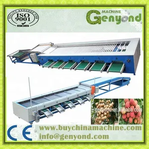 Apple Dates Size Grading Sorting Machine/mango Fruit Grading Machine thumbnail-4