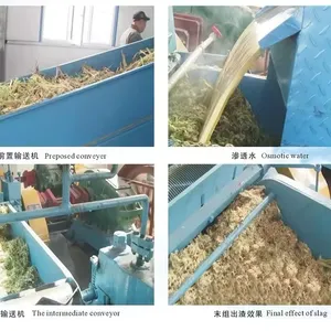 Genyond Complete Sugar Plants thumbnail-5