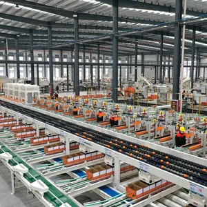 REEMOON Orange Intelligent Sorting and Grading Solution, Oranges Sorter Machine, Grading Equipment thumbnail-2