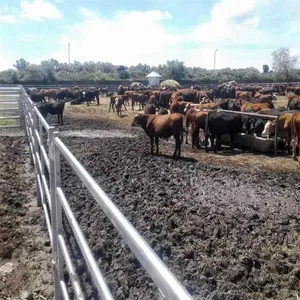 Galvanized Iron Cattle Fence 6ft Height for Livestock Protection thumbnail-2