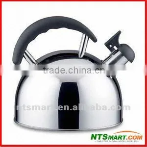 Stainless Steel Water Kettle thumbnail-1