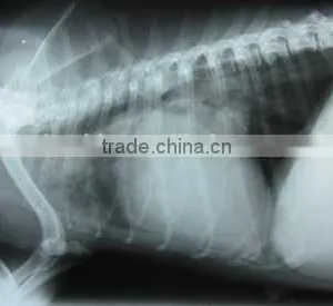 Medical Thermal x Ray Film,medical Thermal Dry Film ,medical Surgical Consumables thumbnail-1