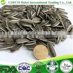 2016 New Crop Round Unprocessed Suflower Seeds thumbnail-1