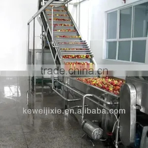 Apple Fruit Production Line thumbnail-1